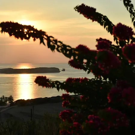 Mia Paros ヴィラ Agia Irini (Paros)